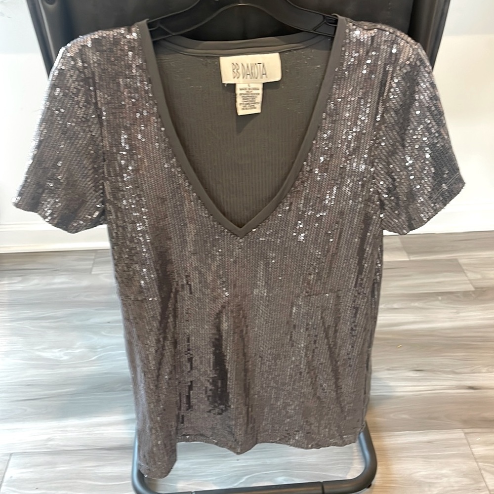 Silver Sequin Deep V Neck Top!!